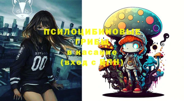 герыч Дмитриев