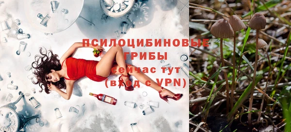 соль ск Дмитров
