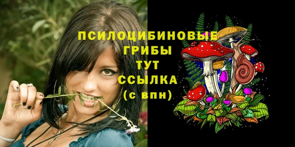 соль ск Дмитров