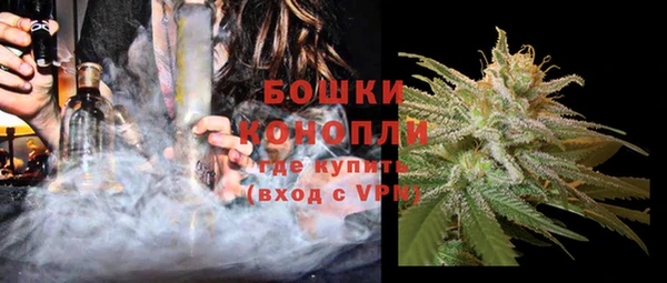 соль ск Дмитров