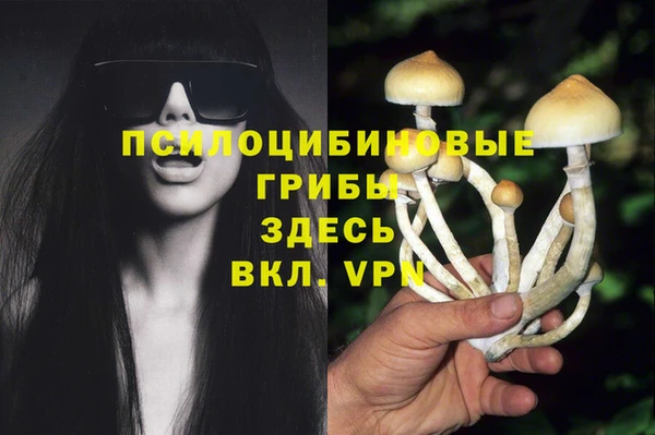 соль ск Дмитров