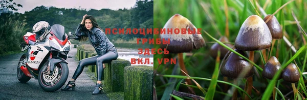 соль ск Дмитров
