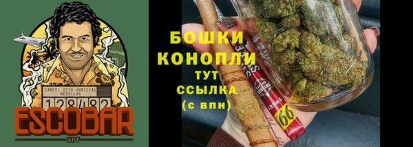 2c-b Гусев