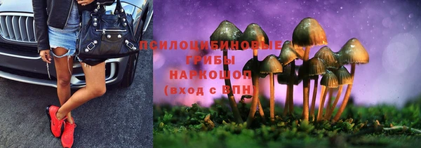 герыч Дмитриев
