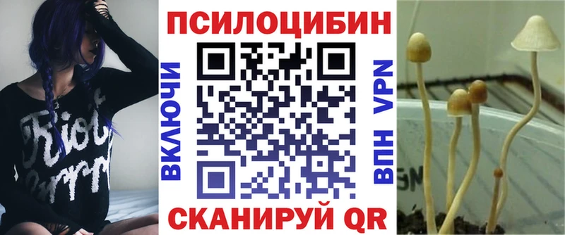 Галлюциногенные грибы Cubensis  Купить закладки  Оха 